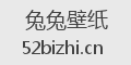 兔兔壁纸