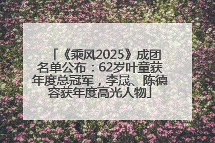 《乘风2025》成团名单公布：62岁叶童获年度总冠军，李晟、陈德容获年度高光人物