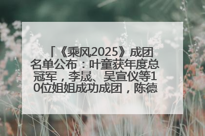 《乘风2025》成团名单公布：叶童获年度总冠军，李晟、吴宣仪等10位姐姐成功成团，陈德容获年度高光人物