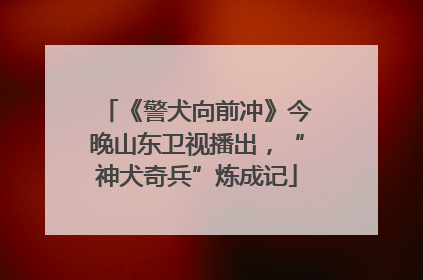 《警犬向前冲》今晚山东卫视播出，“神犬奇兵”炼成记