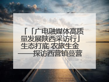 「广电融媒体高质量发展陕西采访行」生态打底 农旅生金——探访西营镇蔓营村省级旅游示范村的振兴密码