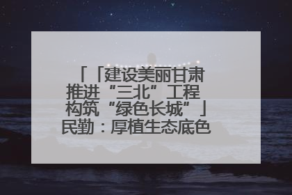 「建设美丽甘肃 推进“三北”工程 构筑“绿色长城”」民勤：厚植生态底色 筑牢绿色屏障