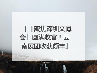 「聚焦深圳文博会」圆满收官！云南展团收获颇丰