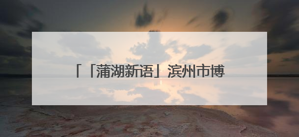 「蒲湖新语」滨州市博兴县：以“小切口”做好数字惠民“大文章”