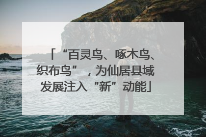 “百灵鸟、啄木鸟、织布鸟”，为仙居县域发展注入“新”动能