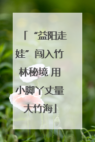 “益阳走娃”闯入竹林秘境 用小脚丫丈量大竹海