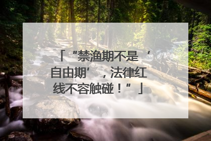“禁渔期不是‘自由期’，法律红线不容触碰！”