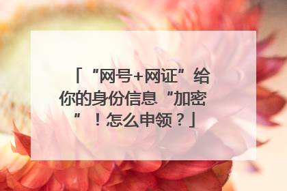 “网号+网证”给你的身份信息“加密”！怎么申领？
