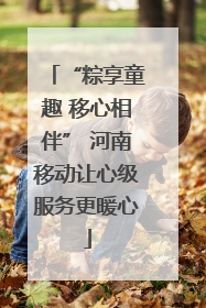 “粽享童趣 移心相伴” 河南移动让心级服务更暖心