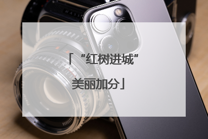 “红树进城” 美丽加分