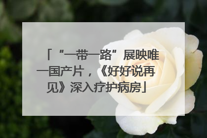 “一带一路”展映唯一国产片，《好好说再见》深入疗护病房