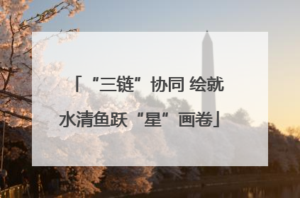 “三链”协同 绘就水清鱼跃“星”画卷