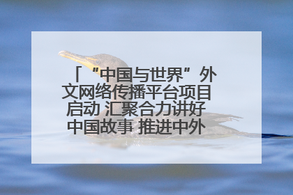 “中国与世界”外文网络传播平台项目启动 汇聚合力讲好中国故事 推进中外文明交流互鉴