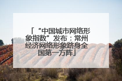 “中国城市网络形象指数”发布：常州经济网络形象跻身全国第一方阵