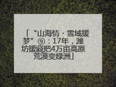 “山海情・雪域援梦”⑨：17年，潍坊援藏把4万亩高原荒漠变绿洲