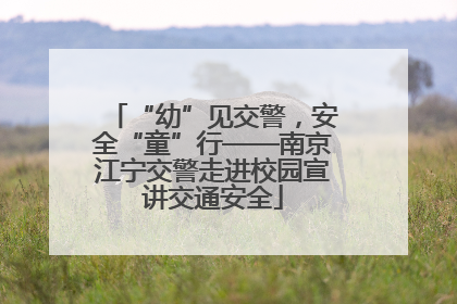 “幼”见交警，安全“童”行——南京江宁交警走进校园宣讲交通安全