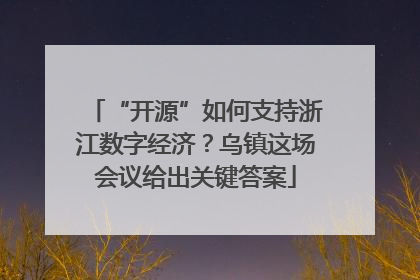 “开源”如何支持浙江数字经济？乌镇这场会议给出关键答案