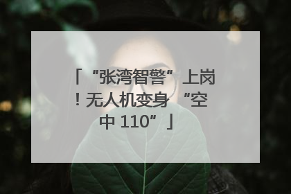 “张湾智警”上岗！无人机变身 “空中 110”