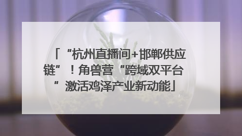 “杭州直播间+邯郸供应链”！角兽营“跨域双平台”激活鸡泽产业新动能
