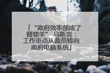 “政府效率部成了替罪羊” 马斯克：工作重点从裁员转向政府电脑系统