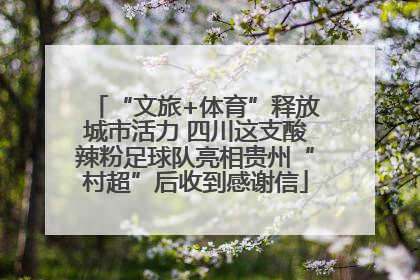 “文旅+体育”释放城市活力 四川这支酸辣粉足球队亮相贵州“村超”后收到感谢信