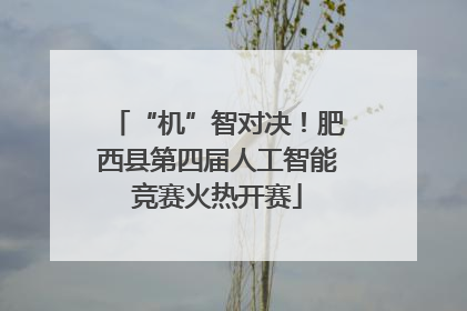 “机”智对决！肥西县第四届人工智能竞赛火热开赛