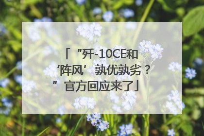 “歼-10CE和‘阵风’孰优孰劣？”官方回应来了