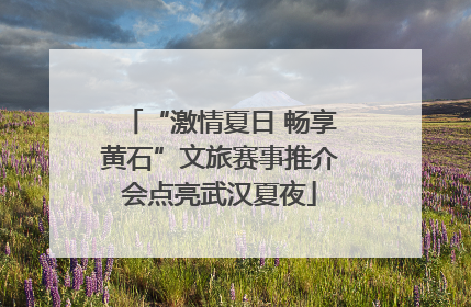 “激情夏日 畅享黄石”文旅赛事推介会点亮武汉夏夜