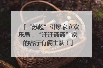 “苏超”引爆家庭欢乐局，“迁迁通通”家的客厅有俩主队！