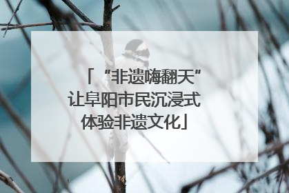 “非遗嗨翻天”让阜阳市民沉浸式体验非遗文化