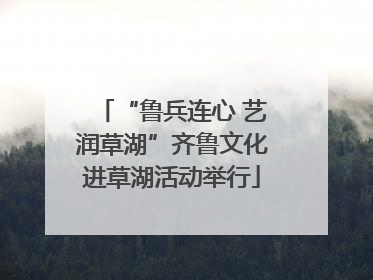 “鲁兵连心 艺润草湖”齐鲁文化进草湖活动举行