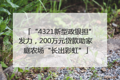 “4321新型政银担”发力，200万元贷款助家庭农场“长出彩虹”