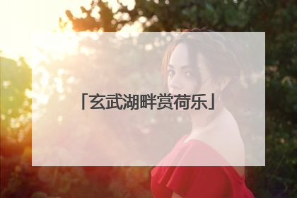 玄武湖畔赏荷乐