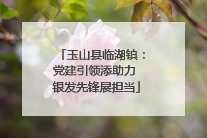 玉山县临湖镇：党建引领添助力 银发先锋展担当