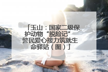 玉山：国家二级保护动物“脱险记” 警民爱心接力筑就生命驿站（图）