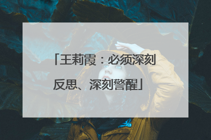 王莉霞：必须深刻反思、深刻警醒