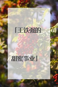 王铁强的甜蜜事业