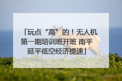 玩点“高”的！无人机第一期培训班开班 南平延平低空经济提速