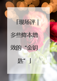 现场评｜多些降本增效的“金钥匙”