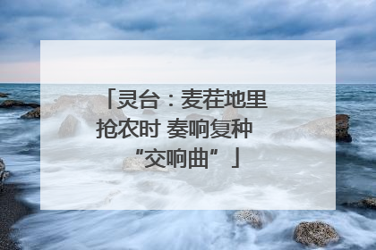 灵台：麦茬地里抢农时 奏响复种“交响曲”