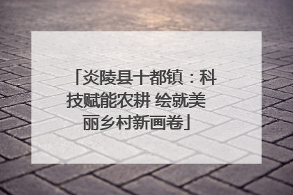 炎陵县十都镇：科技赋能农耕 绘就美丽乡村新画卷