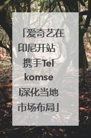 爱奇艺在印尼开站 携手Telkomsel深化当地市场布局