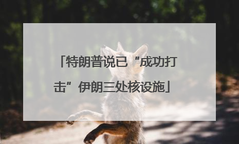 特朗普说已“成功打击”伊朗三处核设施