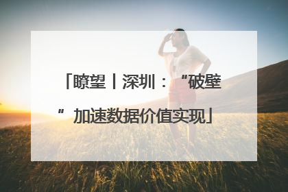 瞭望丨深圳：“破壁”加速数据价值实现