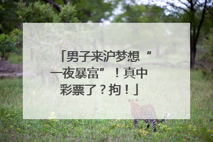 男子来沪梦想“一夜暴富”！真中彩票了？拘！