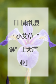 甘肃礼县：小艾草“链”上大产业