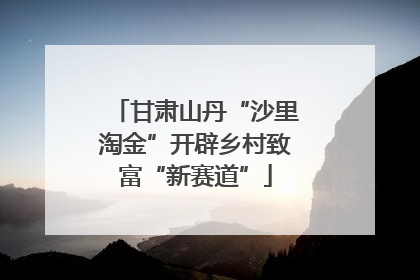 甘肃山丹“沙里淘金”开辟乡村致富“新赛道”