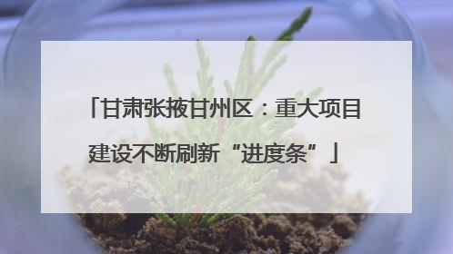 甘肃张掖甘州区：重大项目建设不断刷新“进度条”