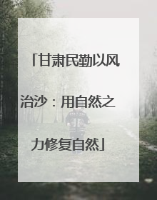 甘肃民勤以风治沙：用自然之力修复自然