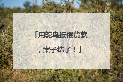 用鸵鸟抵偿货款，案子结了！